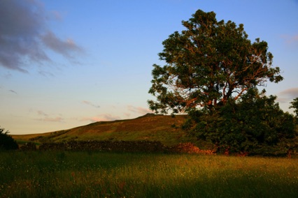 Landschaft um Appletreewick